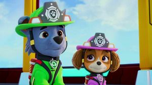 Paw Patrol, la Pat'Patrouille (Pups and the Missing Water Mystery / Pups Save a Squirrely Cabin) S13 (n°13)