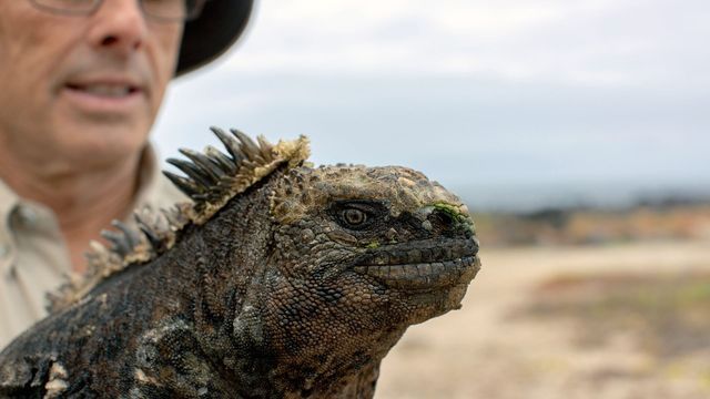 Espèces en voie d'adaptation - Saison 1