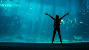 Nausicaá, dans les coulisses du plus grand aquarium d'Europe (Emission 5) S1 (5/8)
