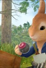 Pierre Lapin