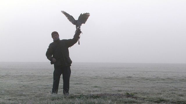 5 nuances de chasse au vol