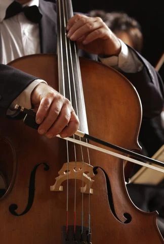 Strauss : Zueignung