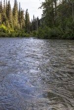 A la poursuite de la Dolly Varden : Légendes des eaux Boreal