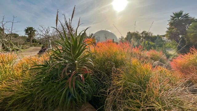 Das Paradies in der Ferne: Sizilien - Blüten, Strand und Meer