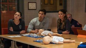 Chicago Fire (Garder la flamme) S14 (10/21)