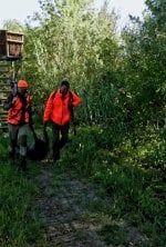 Bivouac Sangliers !