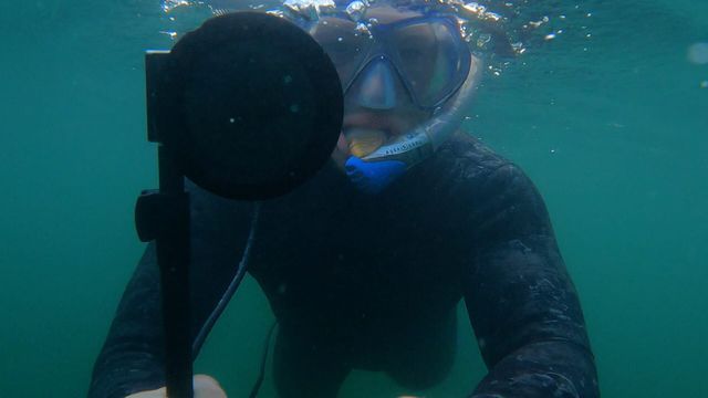 Aventures de pêches - Saison 3