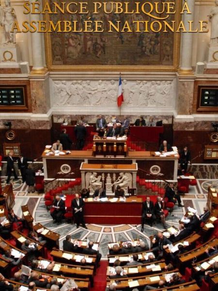 Séance publique à l'Assemblée nationale
