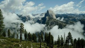 Les parcs nationaux américains (Le Yellowstone) (n°5)