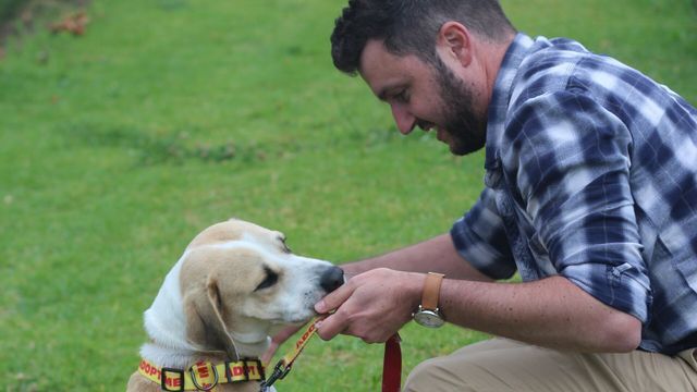 Un chien pour la vie - Saison 1