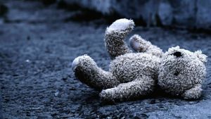 Paranormal Videos (Haunted Teddy Bear and More) S3 (14/26)