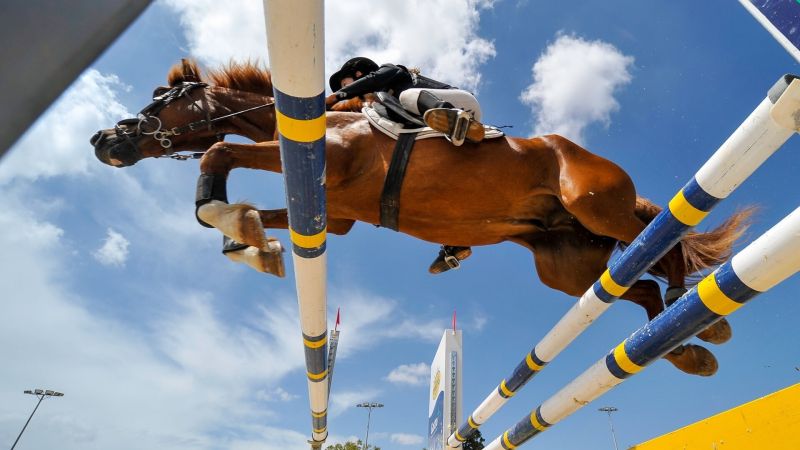 Equitation : Grand National FFE - Grand Prix Pro Elite