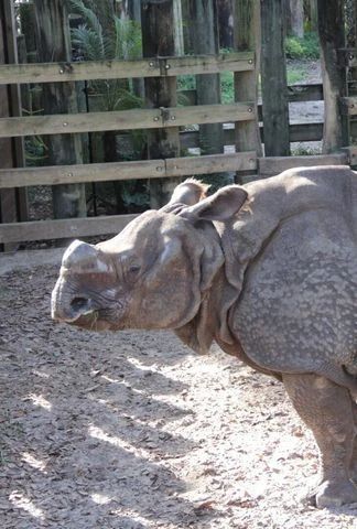 Au coeur du zoo : Tampa