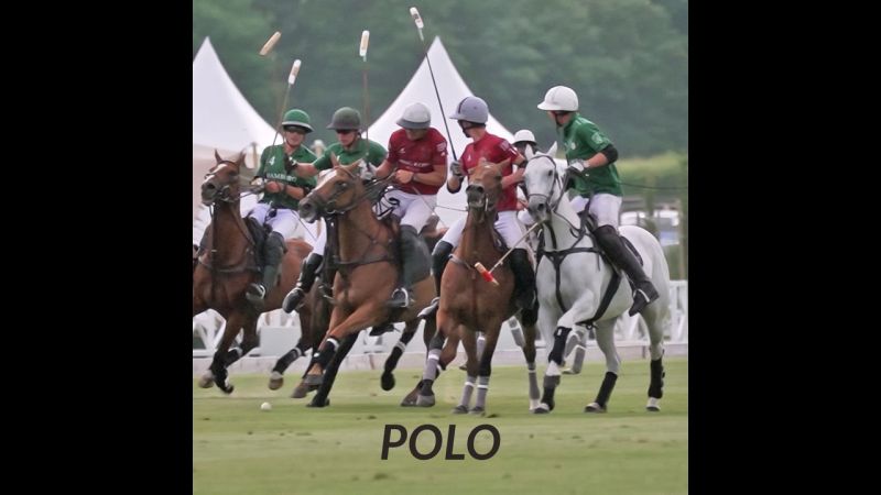 Polo