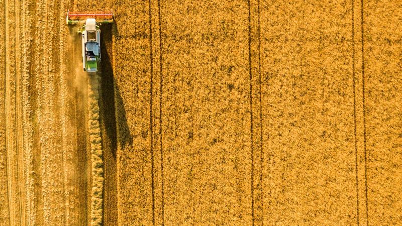 Terre de partage, passion céréales