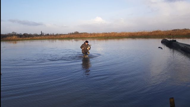 Chasse de nuit, une tradition bien vivante