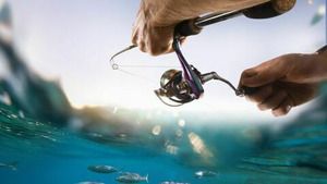 Cuisine de pêcheur (Thons en no-kill) S3 (9/10)
