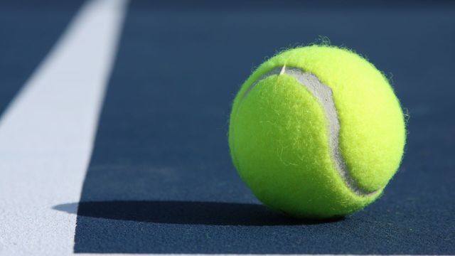 Tennis : Tournoi ATP de Vienne