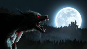 Paranormal Videos (Ghost Kitty and More) S3 (13/26)