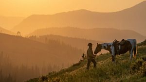 Wild Horses, the Rockies and Me