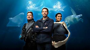 Secrets of the Aquarium (OMG These Animals Are So Smart) S1 (5/6)