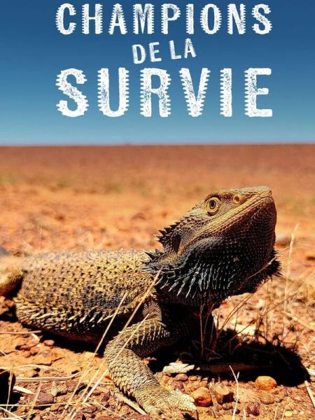 Champion de la survie