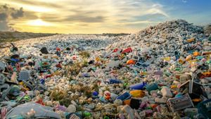 Plastic Odyssey