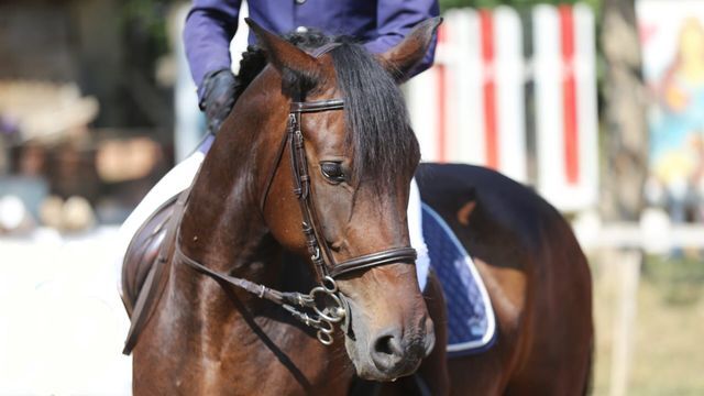 Prix du 24 Faubourg