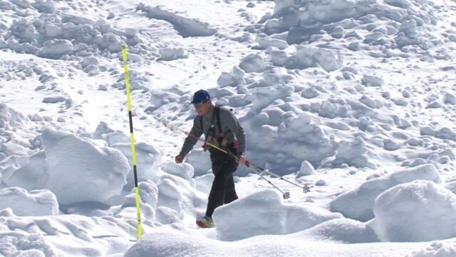 Les sciences de la neige