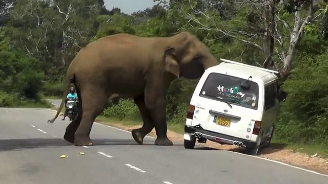 Dashcam en action ! - Saison 6
