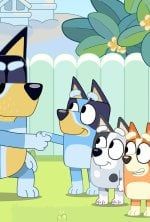 Bluey