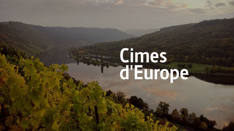 Der Hunsrück: Das Gebirge des scheinbar nie endenden Waldes