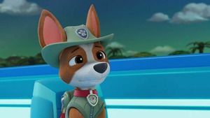 Paw Patrol, la Pat'Patrouille (La catapulte à noix de coco / Mr Hellinger et l'oison) S12 (n°3)