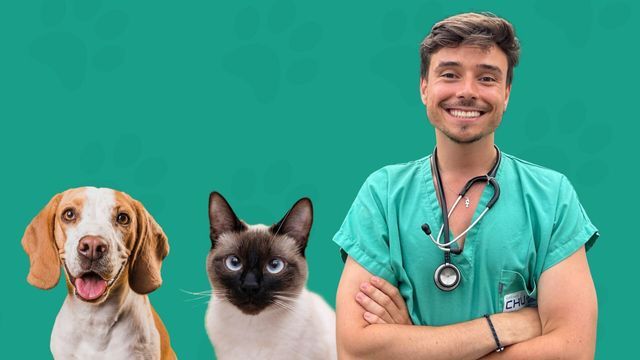 Véto et Compagnie