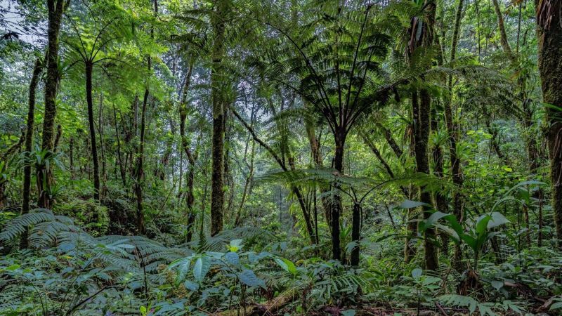 Génération Laudato Si' - S01E07 — TV Monaco 03:35