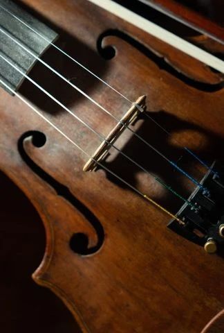 String quartet | Assez vif, très rythmé
