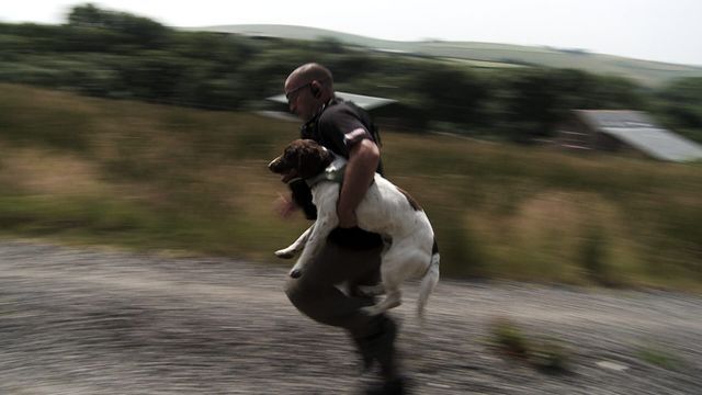 Chiens d'élite