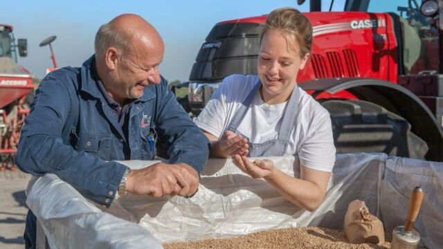 Leben an der Nordsee: Belgien und die Niederlande