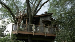 Cabanes perchées S7 (n°2)