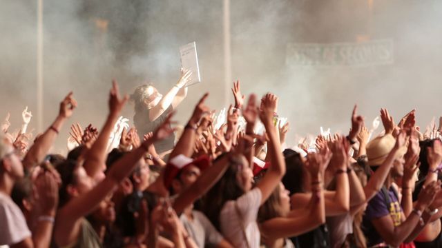 Rock en Seine