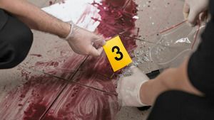 48 heures pour un crime (Un corps lacéré) S14 (13/39)