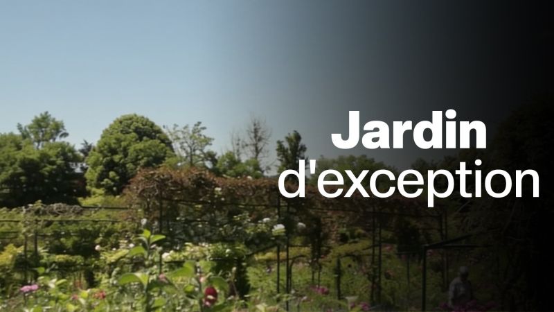 Jardin d'exception - S01E01 — MaisonEtTravaux.fr 03:44