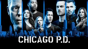 Chicago Police Department (Bon débarras) S6 (12/22)