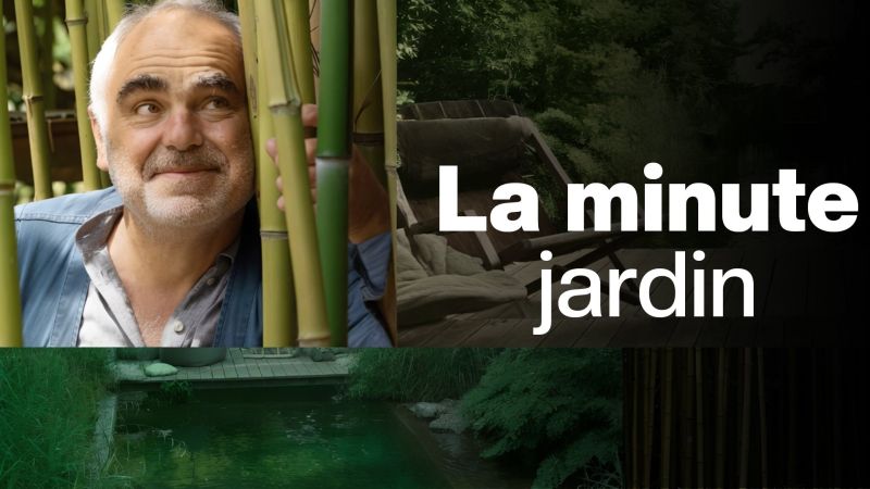 La minute jardin - S01E03 — MaisonEtTravaux.fr 03:41