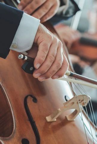Symphony no. 1 | Allegro