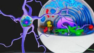 Déclics (Virus et bactéries : petits mais costauds) S1 (2/13) — Arte Belgique 06:50