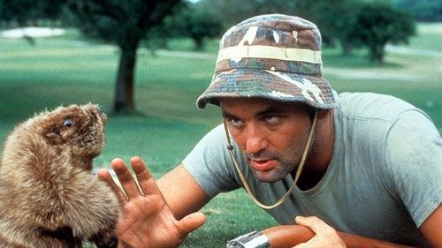 .bio: Bill Murray
