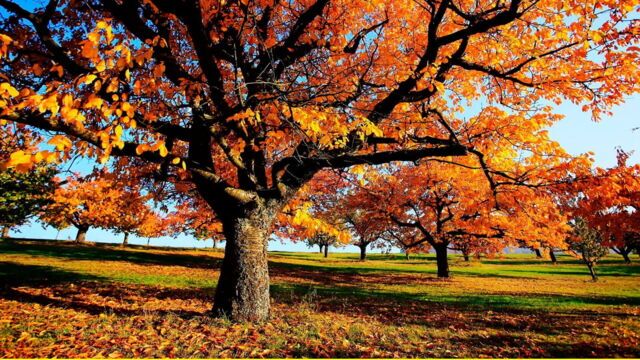 Herbstwelten