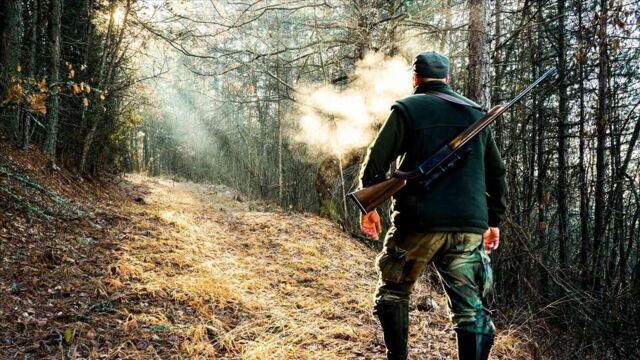 Battue dans le Montseny, réserve de la biosphère