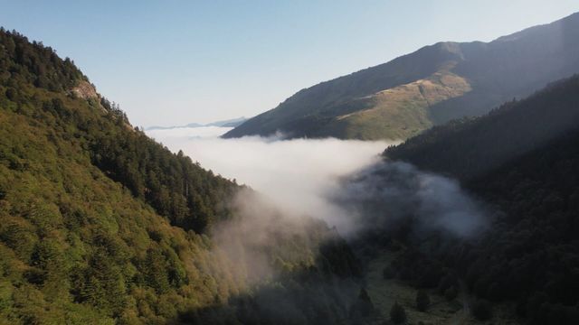 Sale temps pour la planète - Saison 20